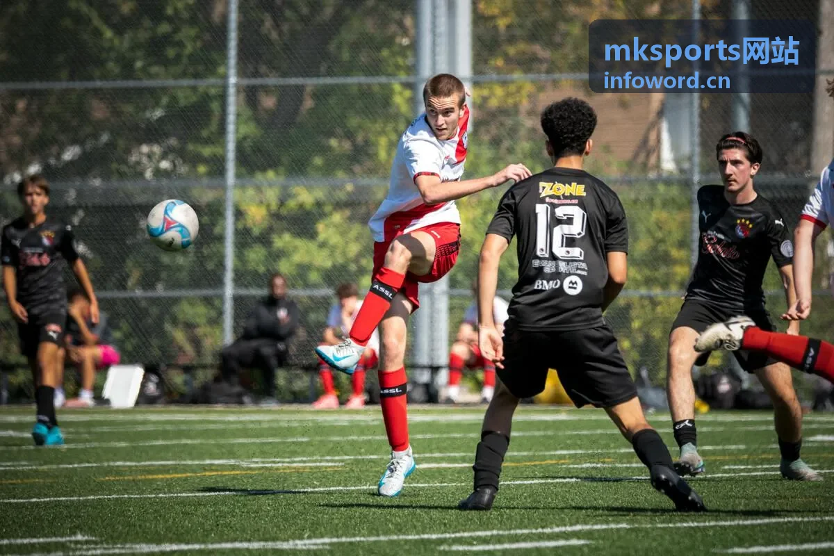 mksports网站报名与票务的票种权益概览